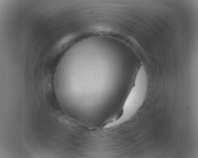X0000082181016200701270021