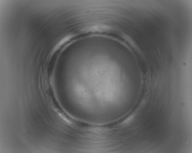 X0000082181018200701270021