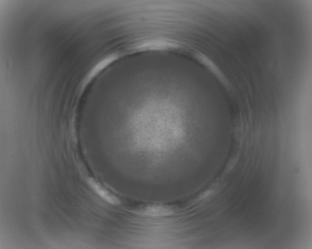 X0000082181026200701270021