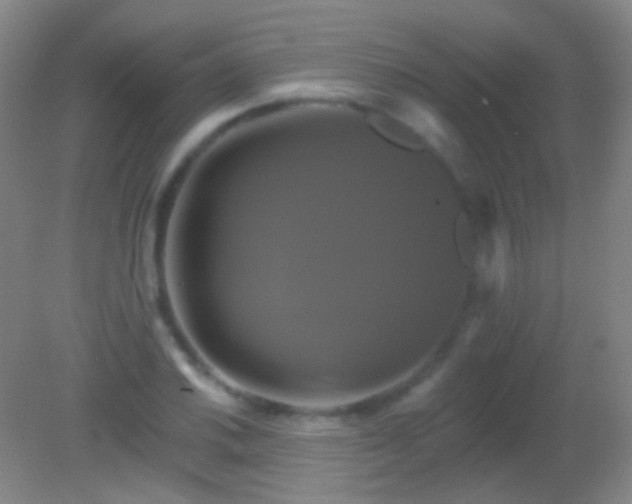 X0000082181030200701270021