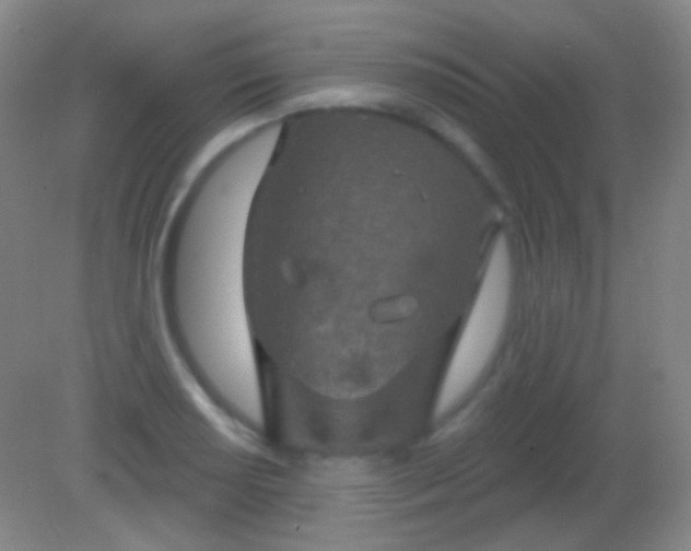 X0000082181034200701270021