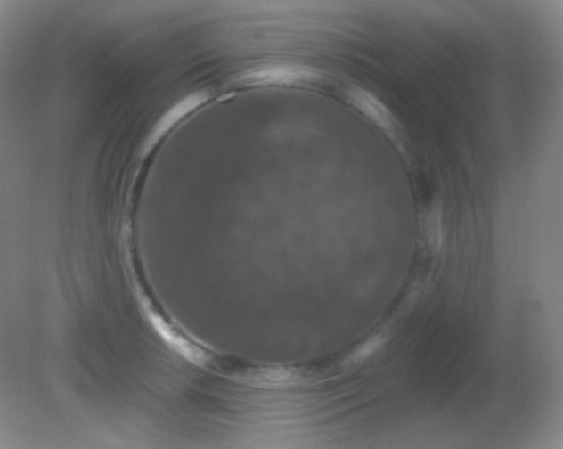 X0000082181042200701270021