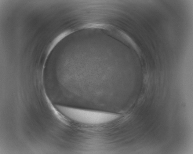 X0000082181050200701270021