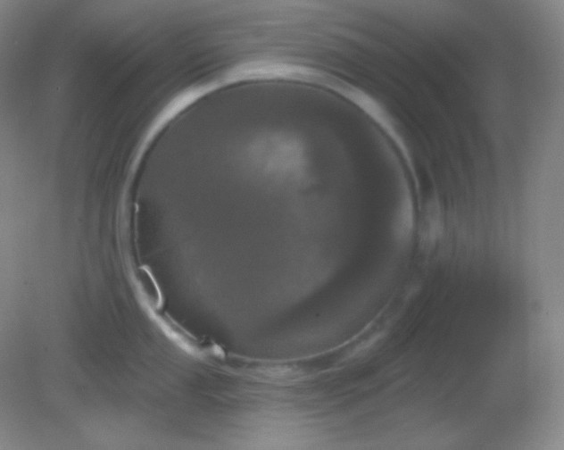 X0000082181053200701270021