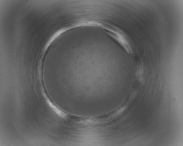 X0000082181054200701270021