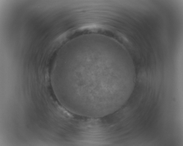 X0000082181062200701270021