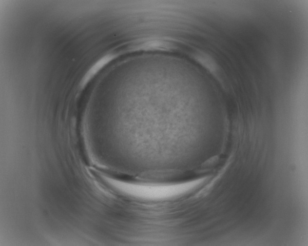 X0000082181066200701270021