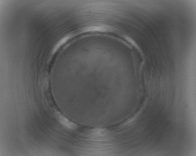 X0000082181067200701270021