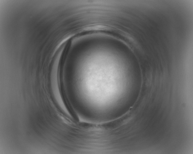X0000082181073200701270020