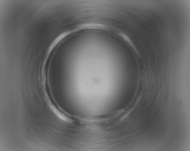 X0000082181082200701270020