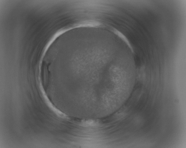 X0000082181099200701270020