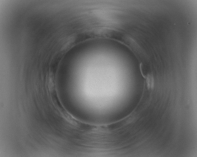 X0000082181107200701270019