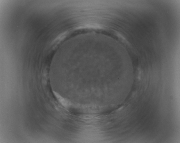 X0000082181110200701270019