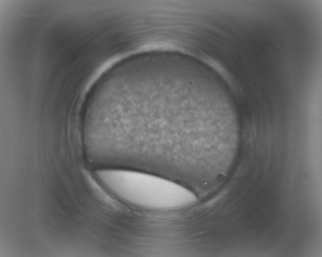 X0000082181118200701270019