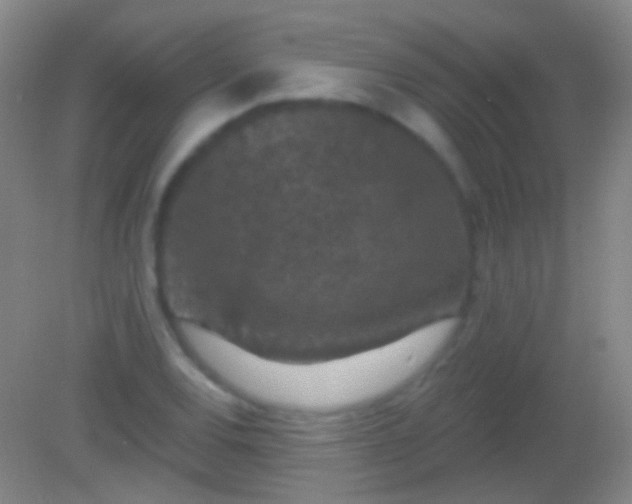 X0000082181120200701270019