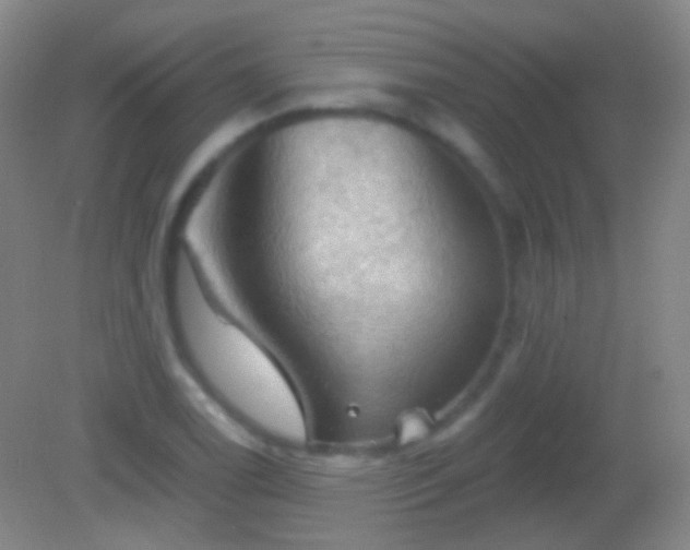 X0000082181122200701270019