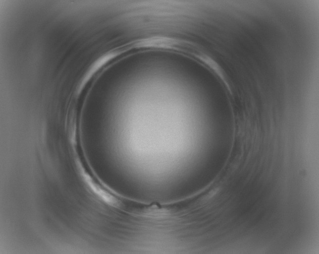 X0000082181131200701270020