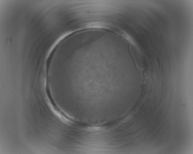 X0000082181132200701270020