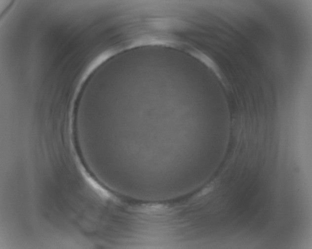 X0000082181135200701270020