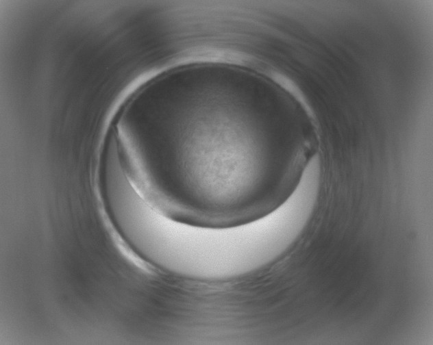X0000082181136200701270020