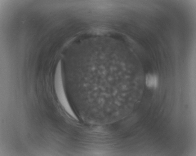 X0000082181155200701270019