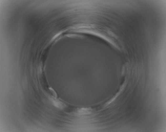 X0000082181161200701270019