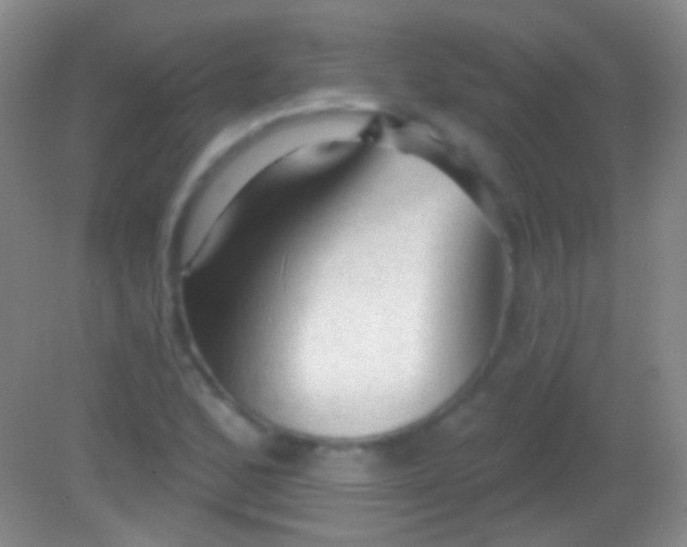 X0000082181168200701270019