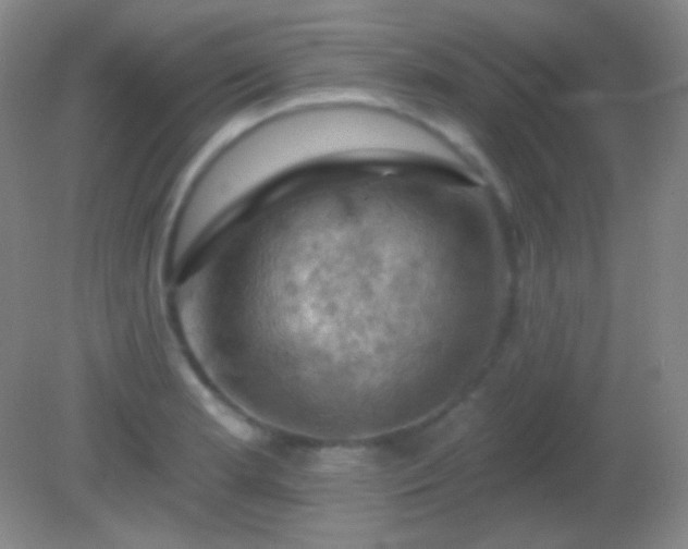 X0000082181181200701270019