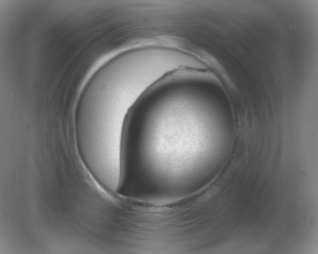 X0000082181184200701270019