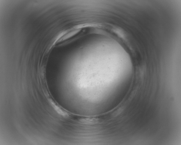 X0000082181185200701270019
