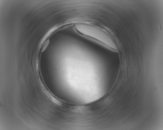 X0000082181188200701270018