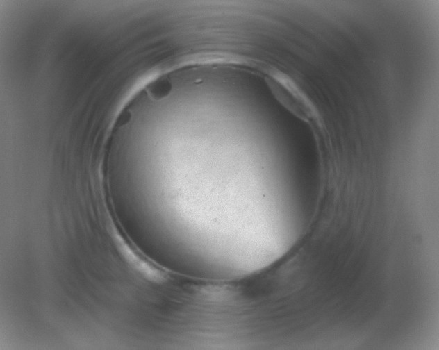 X0000082181189200701270018