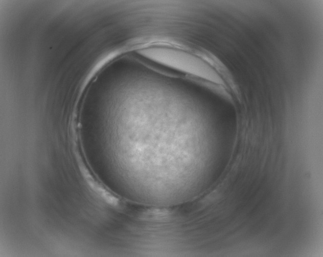 X0000082181190200701270018