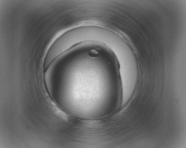 X0000082181192200701270018