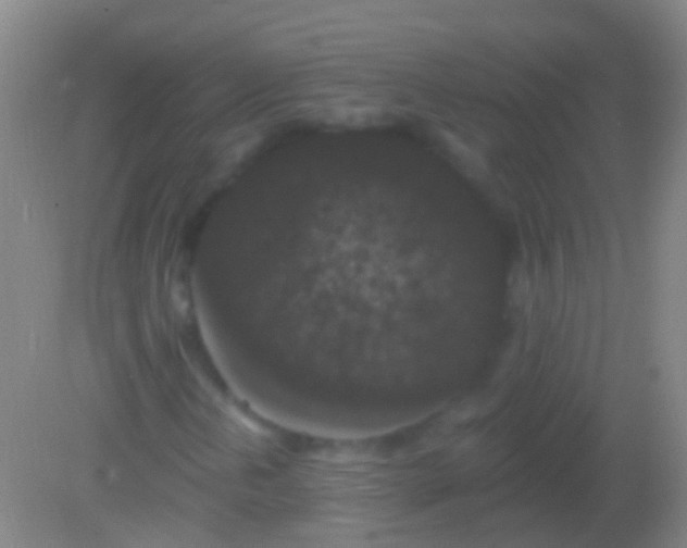 X0000082181202200701270017