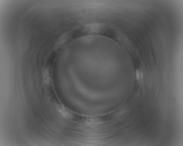 X0000082181203200701270017