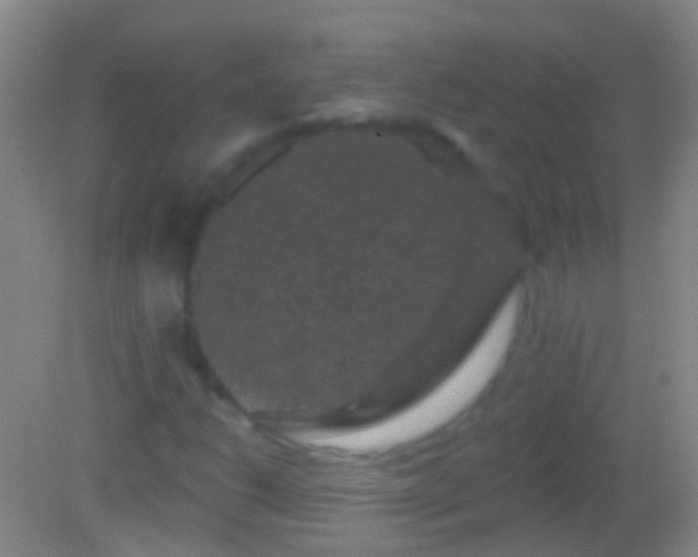 X0000082181206200701270018