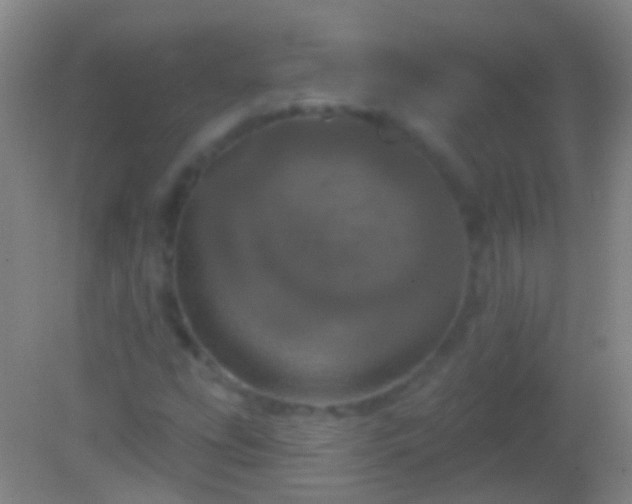 X0000082181207200701270018