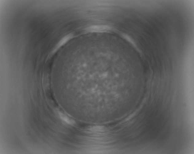 X0000082181211200701270018