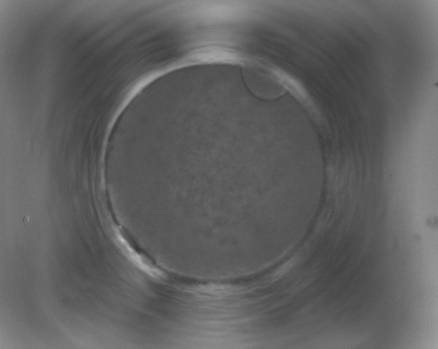 X0000082181236200701270018