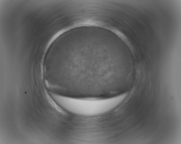 X0000082181238200701270018