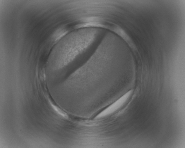 X0000082181241200701270018