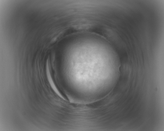 X0000082181250200701270017