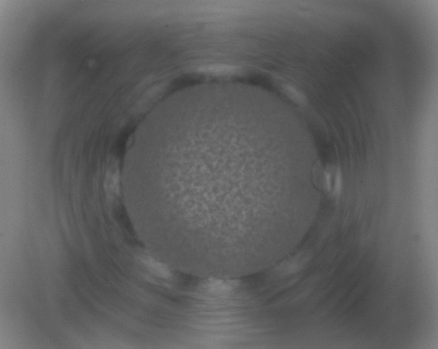 X0000082181251200701270017