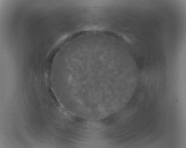 X0000082181254200701270017