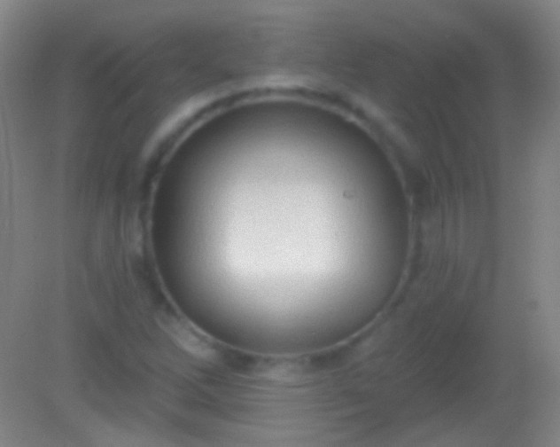 X0000082181262200701270017