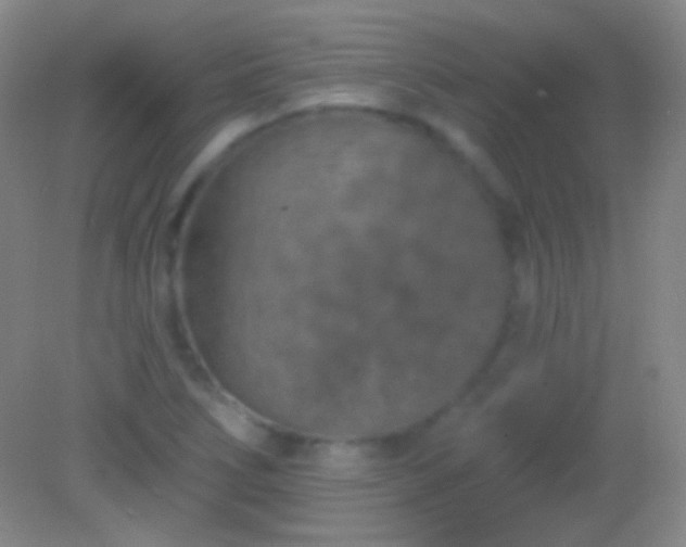 X0000082181266200701270017