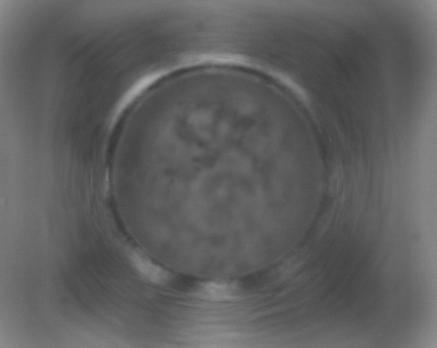 X0000082181271200701270017