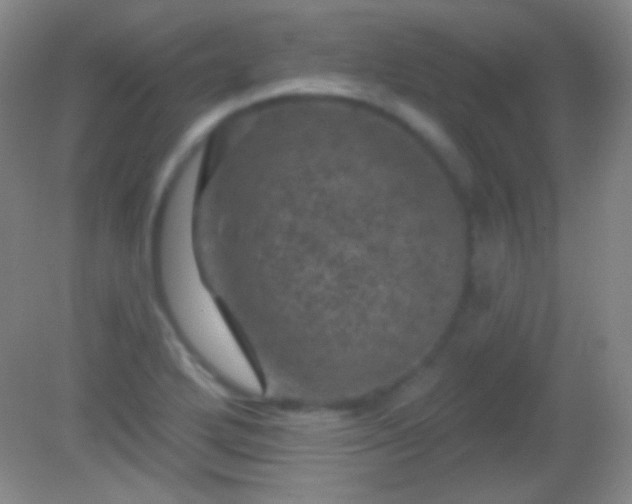 X0000082181272200701270017