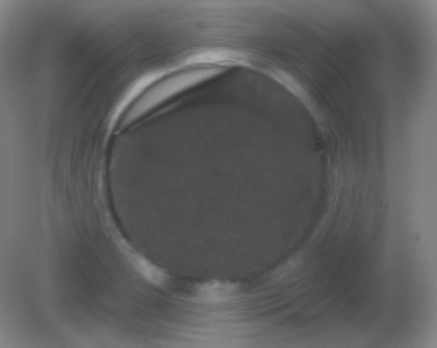 X0000082181277200701270017